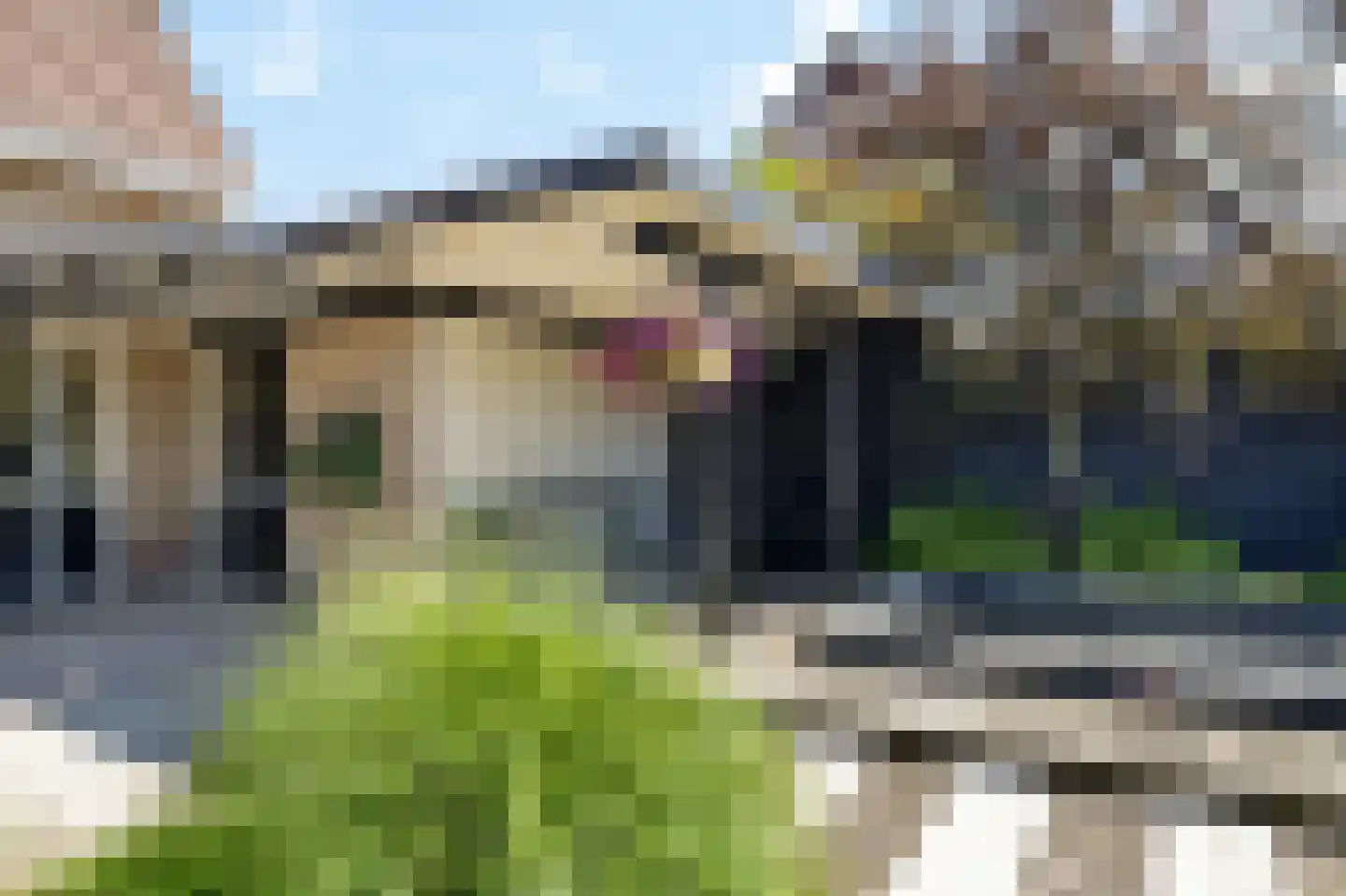 It Bûterfabryk 26 Grou thumbnail 35