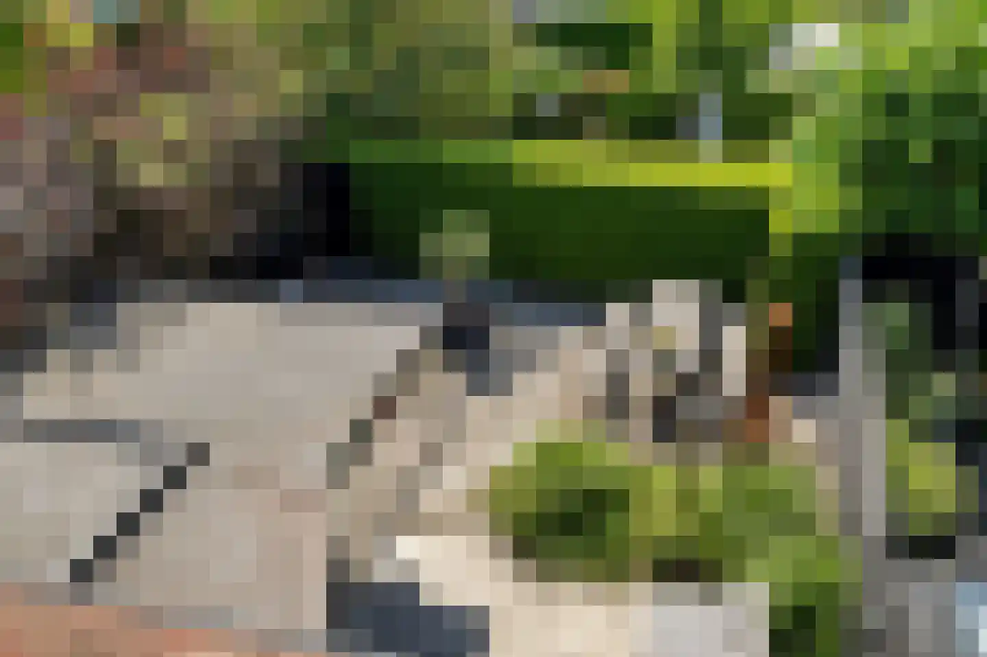 It Bûterfabryk 26 Grou thumbnail 37