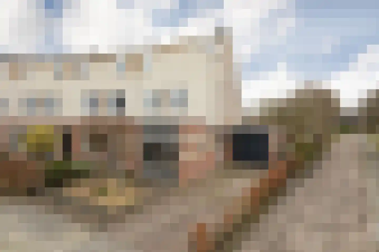 it Bûtlân 37 Sneek