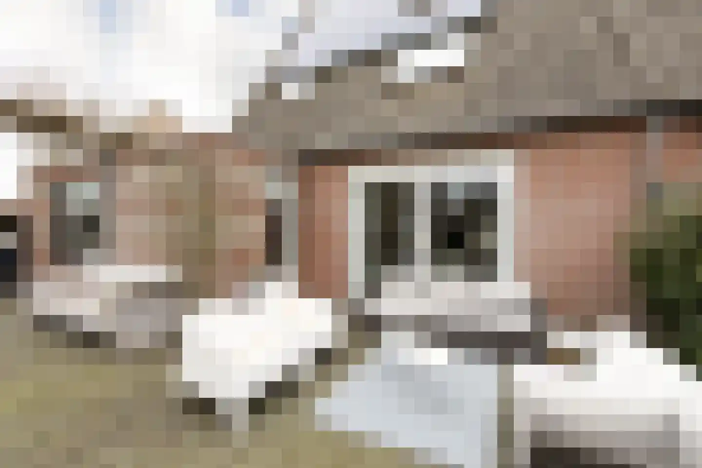 it Bûtlân 37 Sneek thumbnail 37