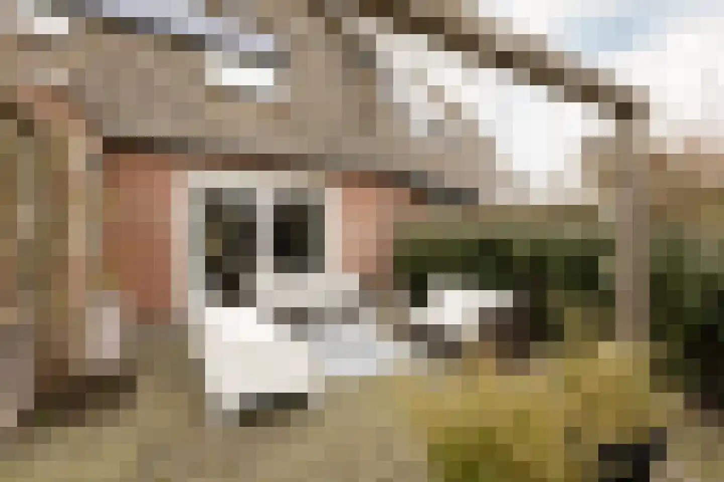 it Bûtlân 37 Sneek thumbnail 38