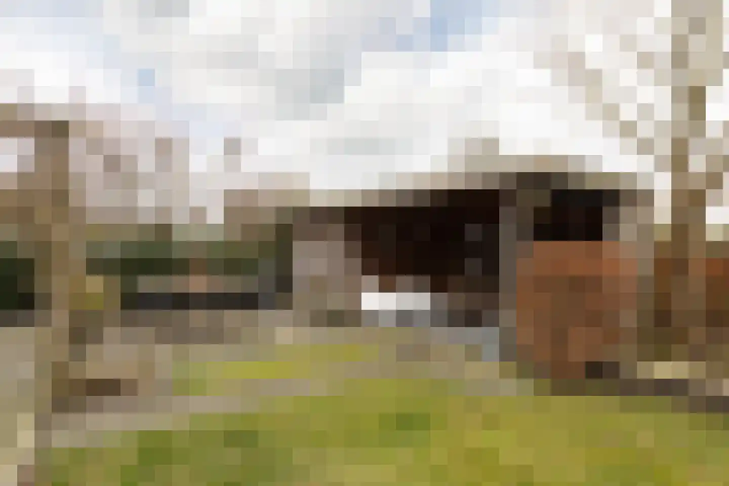 it Bûtlân 37 Sneek thumbnail 40