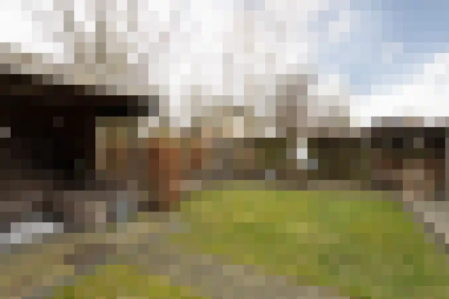 it Bûtlân 37 Sneek thumbnail 42