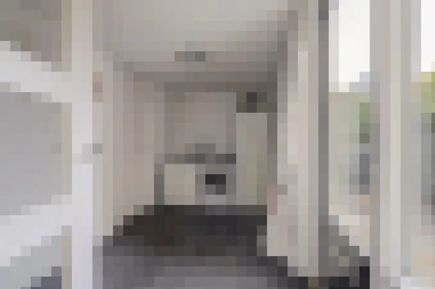 it Bûtlân 51 Sneek thumbnail 11