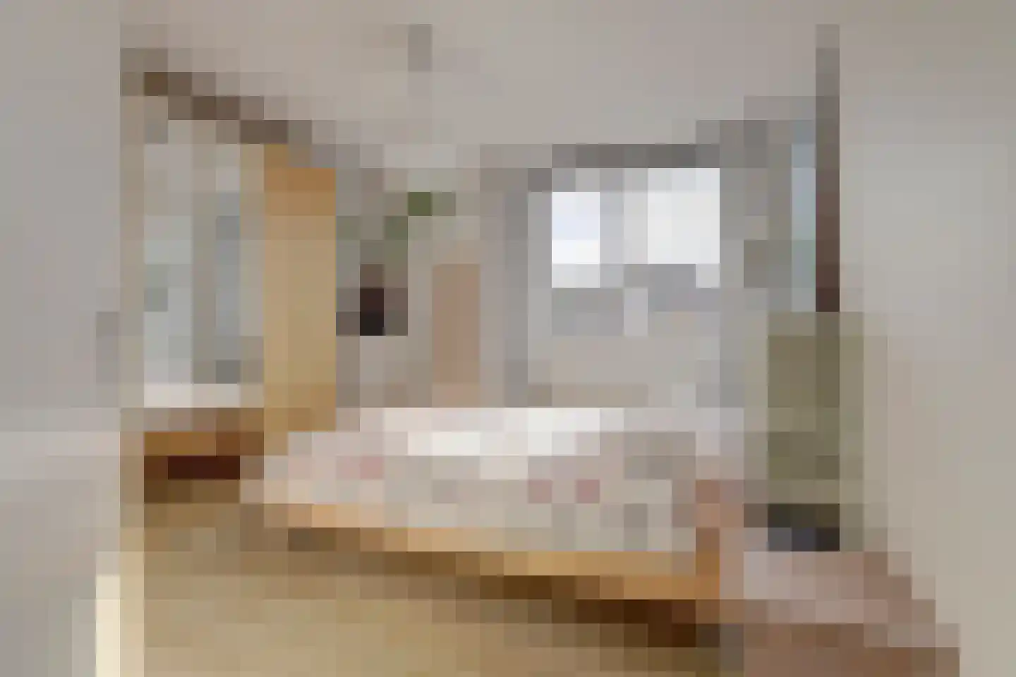 it Bûtlân 51 Sneek thumbnail 15