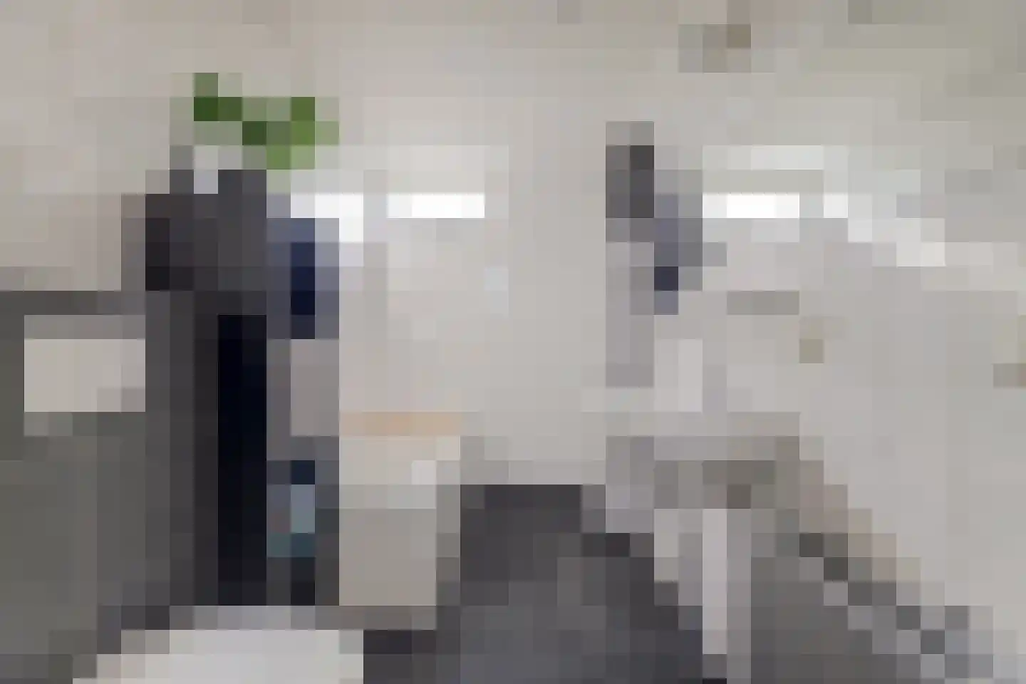 it Bûtlân 51 Sneek thumbnail 17
