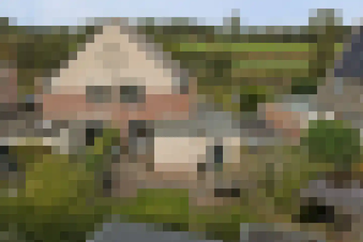 it Bûtlân 51 Sneek thumbnail 27