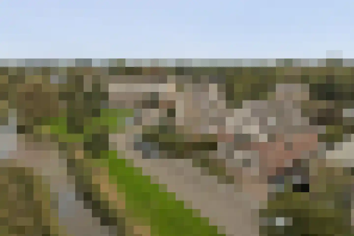 it Bûtlân 51 Sneek thumbnail 28