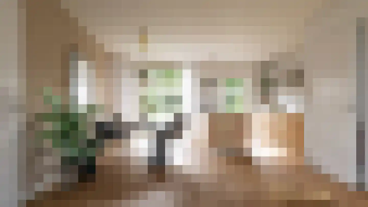 It Bynt 20 Leeuwarden thumbnail 4