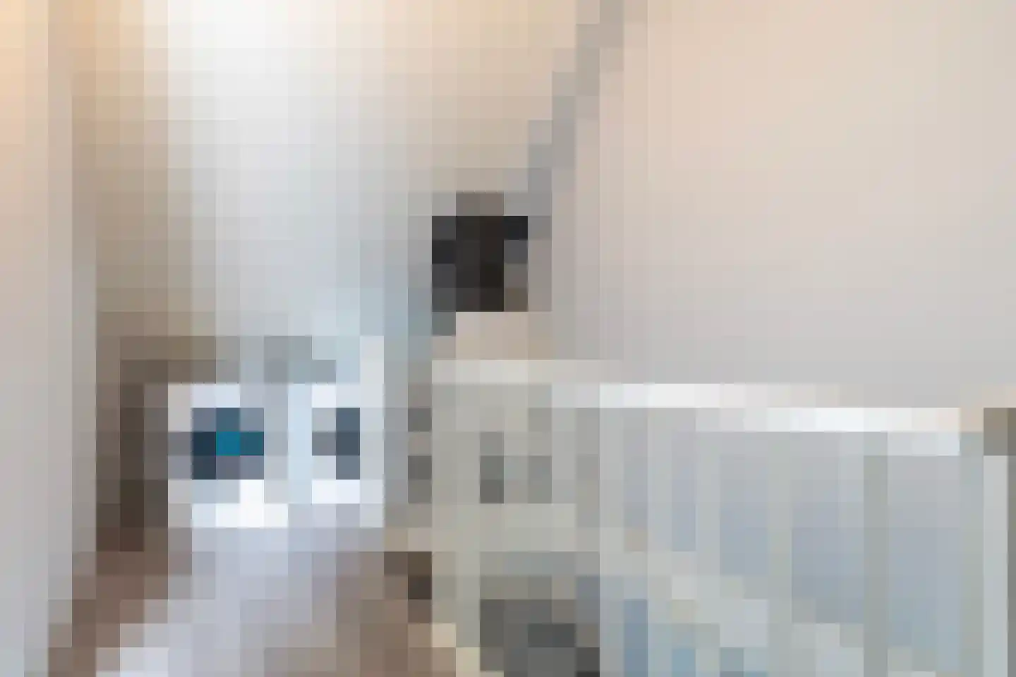 It Bynt 80 Leeuwarden thumbnail 37