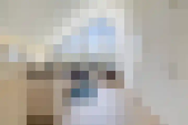 It Eilân 16 Heeg thumbnail 10