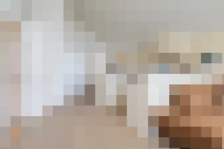 It Eilân 16 Heeg thumbnail 12