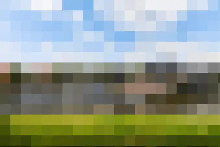 It Eilân 16 Heeg thumbnail 17