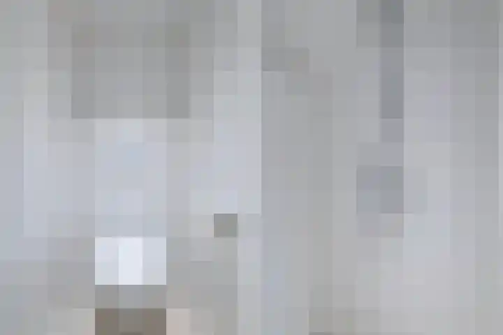 It Eilân 16 Heeg thumbnail 31