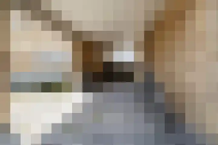 It Eilân 16 Heeg thumbnail 35