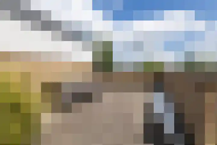 It Eilân 16 Heeg thumbnail 38