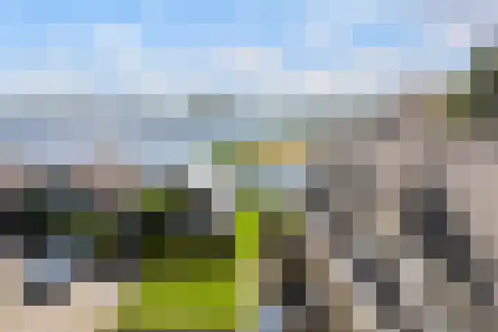 It Eilân 16 Heeg thumbnail 4