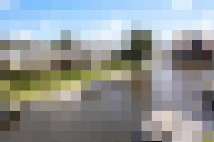 It Eilân 16 Heeg thumbnail 45