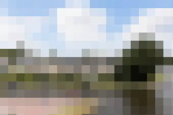 It Eilân 16 Heeg thumbnail 46