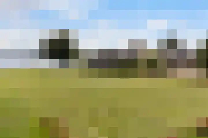 It Eilân 16 Heeg thumbnail 48