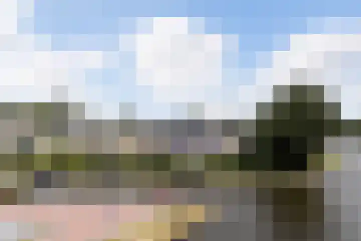 It Eilân 16 Heeg thumbnail 55
