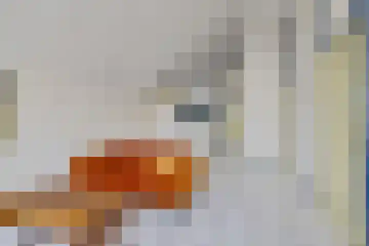 It Eilân 32 Heeg thumbnail 6