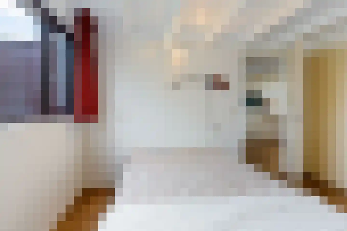 It Eilân 40 Heeg thumbnail 21