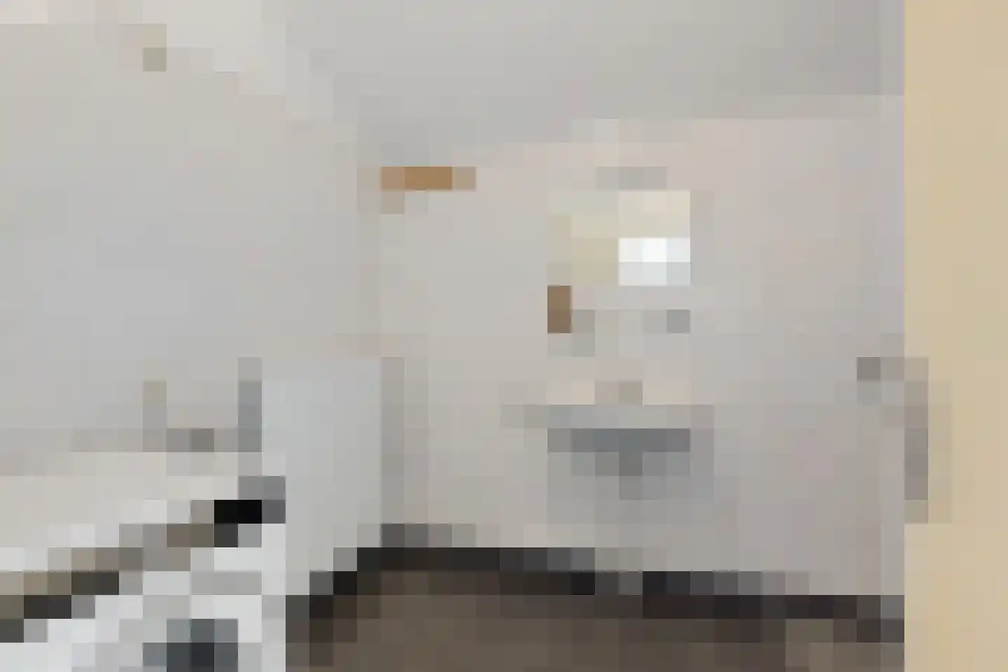 It Eilân 40 Heeg thumbnail 22