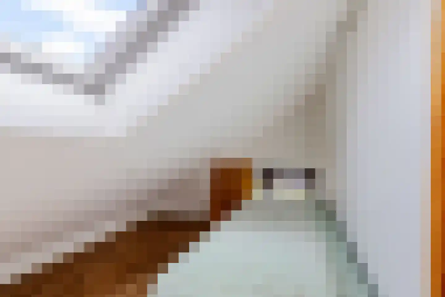 It Eilân 40 Heeg thumbnail 28