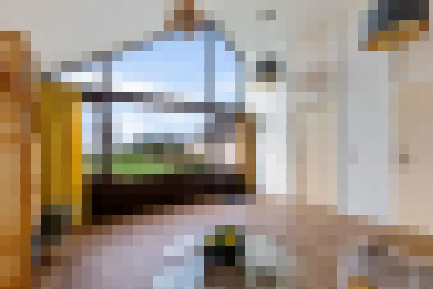 It Eilân 40 Heeg foto 3