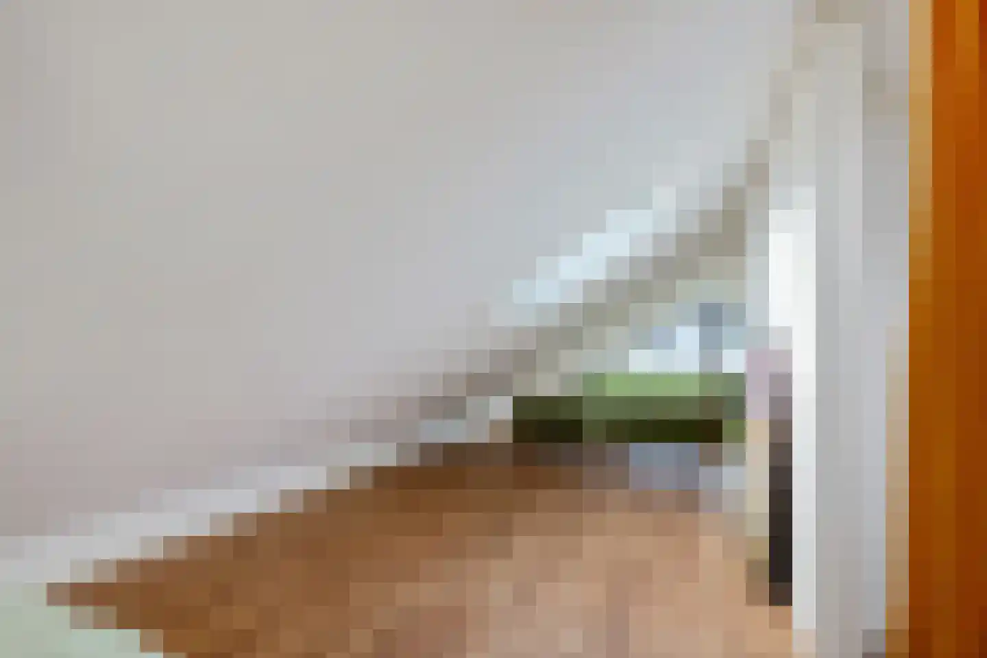 It Eilân 40 Heeg thumbnail 30