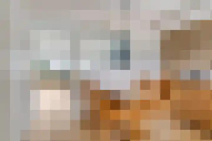 It Eilân 53 Heeg thumbnail 14