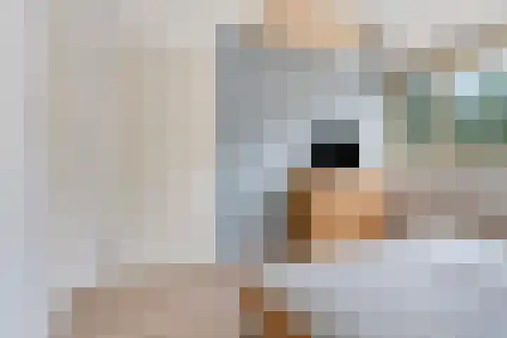 It Eilân 53 Heeg thumbnail 18