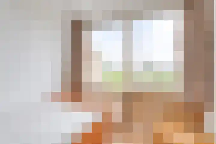 It Eilân 53 Heeg thumbnail 25