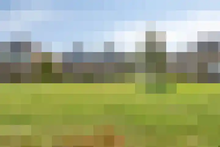 It Eilân 53 Heeg thumbnail 29
