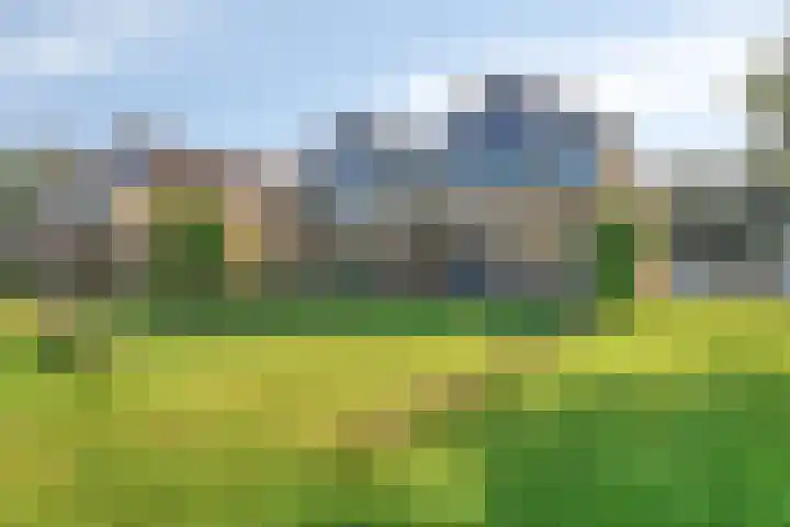 It Eilân 53 Heeg thumbnail 30