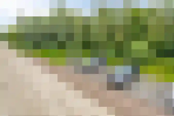 It Eilân 53 Heeg thumbnail 31