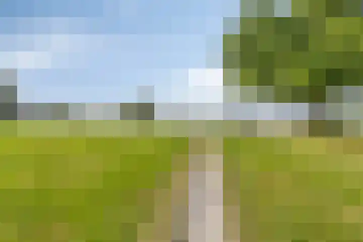 It Eilân 53 Heeg thumbnail 32