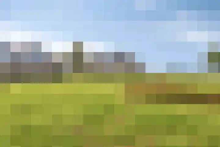 It Eilân 53 Heeg thumbnail 37