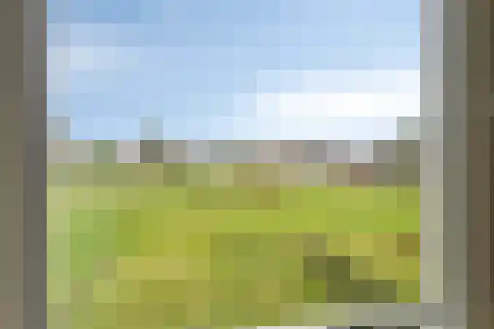 It Eilân 53 Heeg thumbnail 9