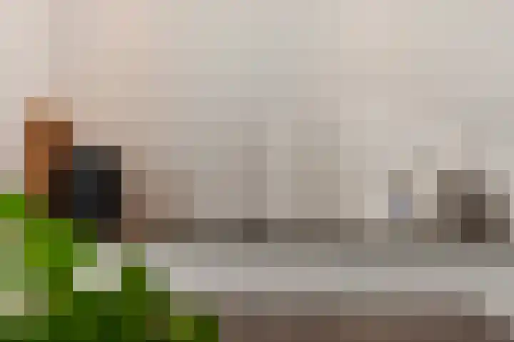 It Eilân 7 C Heeg thumbnail 11