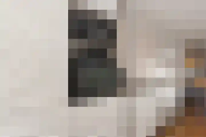 It Eilân 7 C Heeg thumbnail 13