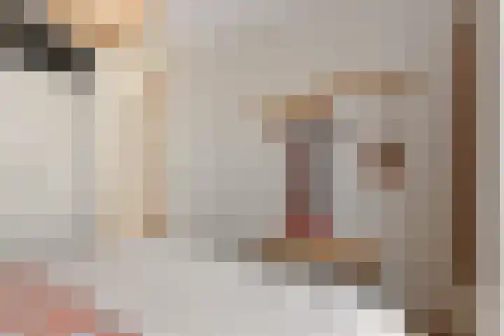 It Eilân 7 C Heeg thumbnail 29