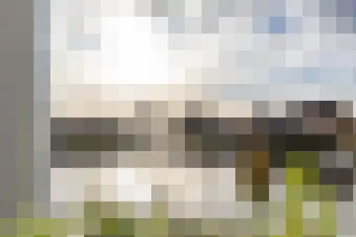 It Eilân 7 C Heeg foto 3