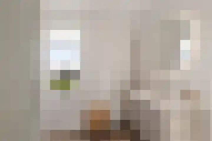 It Eilân 7 C Heeg thumbnail 33