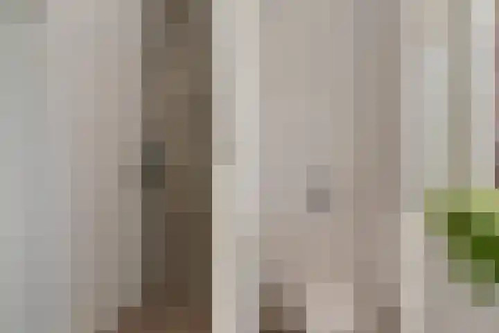It Eilân 7 C Heeg thumbnail 34