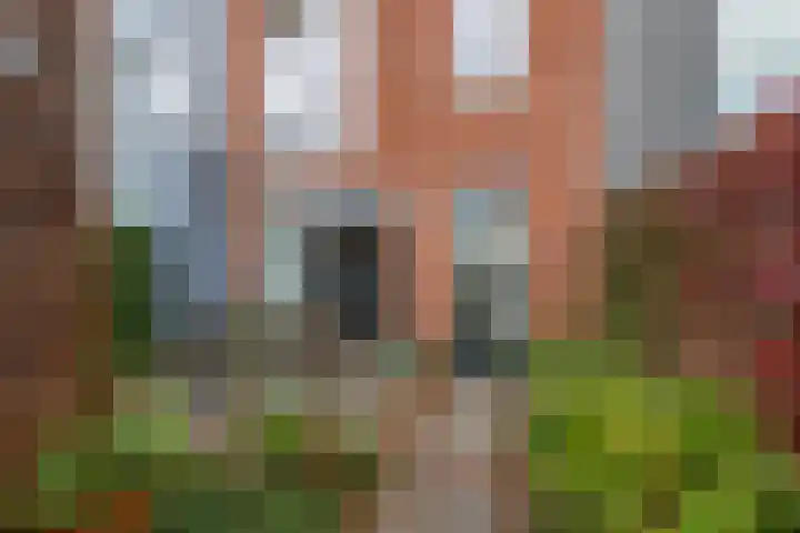 It Eilân 7 C Heeg thumbnail 38