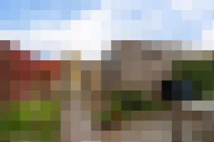 It Eilân 7 C Heeg thumbnail 40