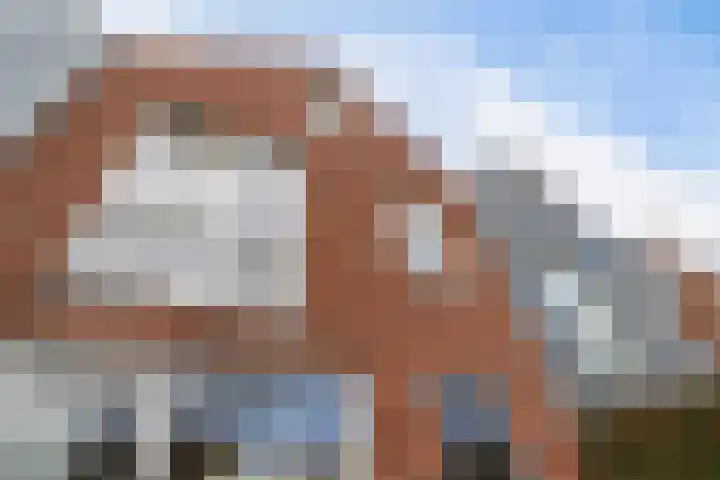It Eilân 7 C Heeg thumbnail 46