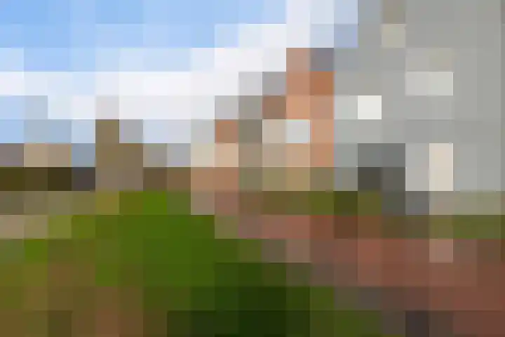 It Eilân 7 C Heeg thumbnail 47